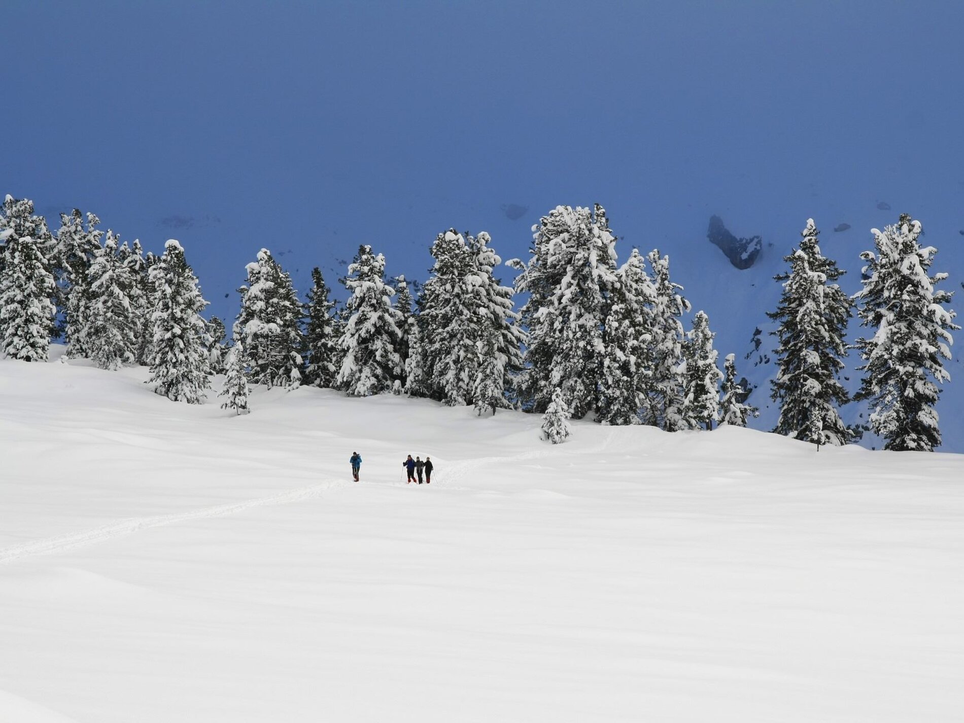 Schneeschuhwandern